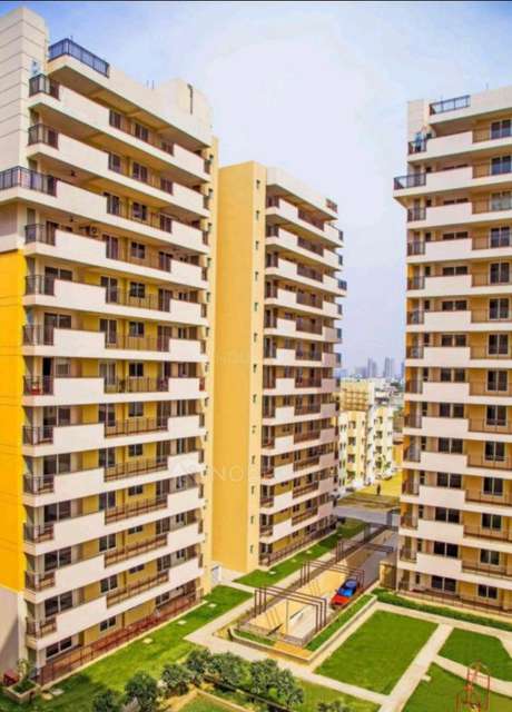 3 BHK Flat In Brisk Lumbini Terrace Homes For Sale  In Sector 109