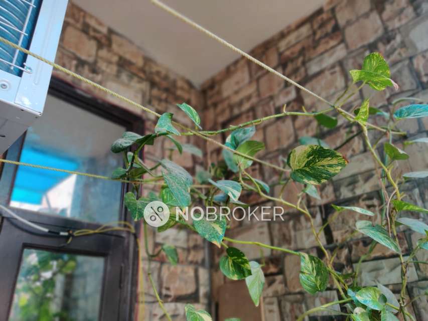 2 BHK Flat In Unione Residency For Sale  In Bahrampur