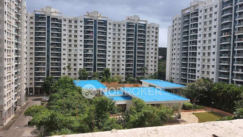 2 BHK Flat In Megapolis Sunway for Rent  In Hinjawadi