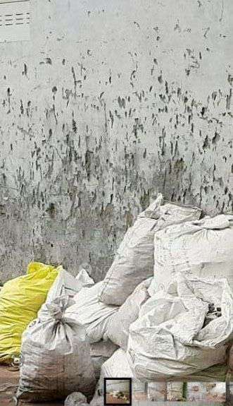 4+ BHK House For Sale  In Sahibabad