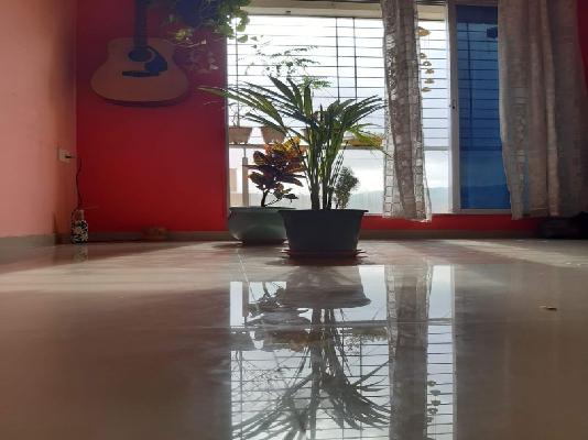 1 BHK Flat In Kalpavriksha Chs &#40;c J Group&#41; For Sale  In Taloja