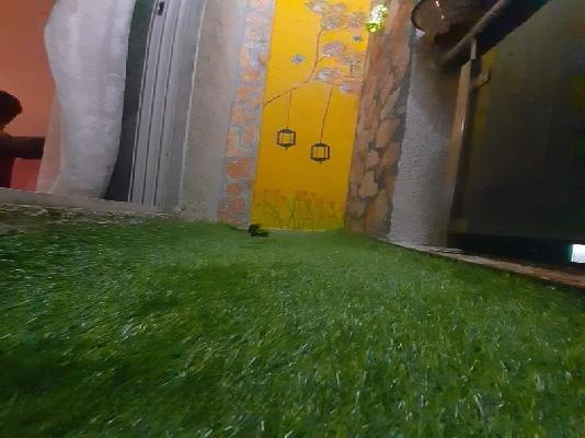 1 BHK Flat In Kalpavriksha Chs &#40;c J Group&#41; For Sale  In Taloja