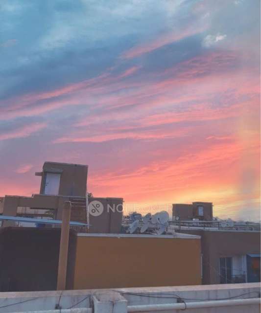 1 BHK Flat In Kalpavriksha Chs &#40;c J Group&#41; For Sale  In Taloja