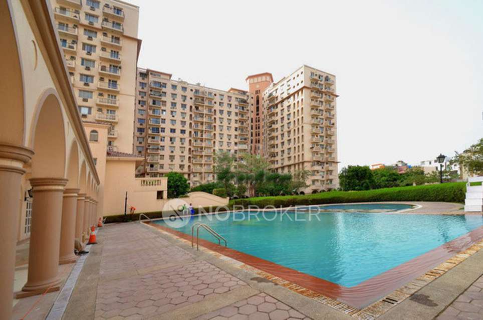 2 BHK Flat In Signature Global Grand Iva for Rent  In Sector-103