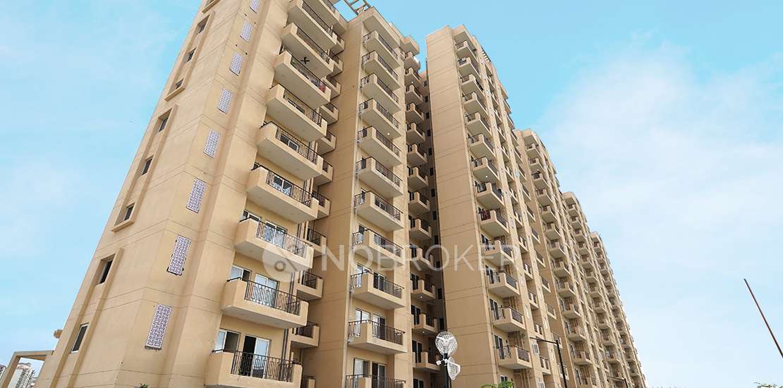 2 BHK Flat In Orchard Avenue Signature Global for Rent  In Orchard Avenue