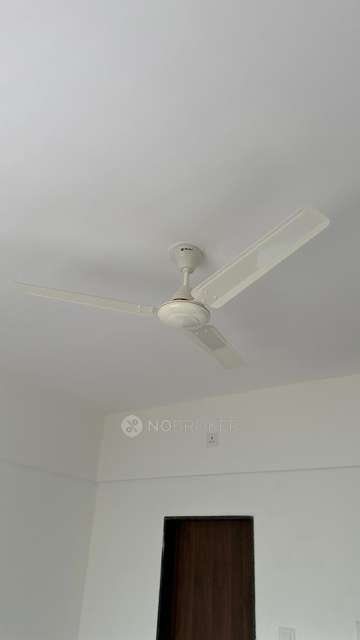 2 BHK Flat In Ivynia  for Rent  In Wagholi