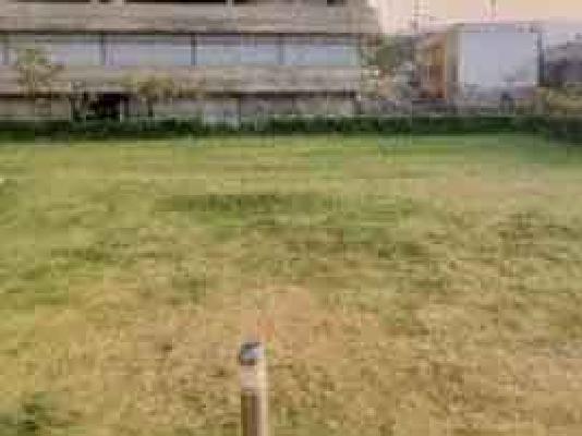 1 BHK Flat In Dynamic Grandeur For Sale  In Undri