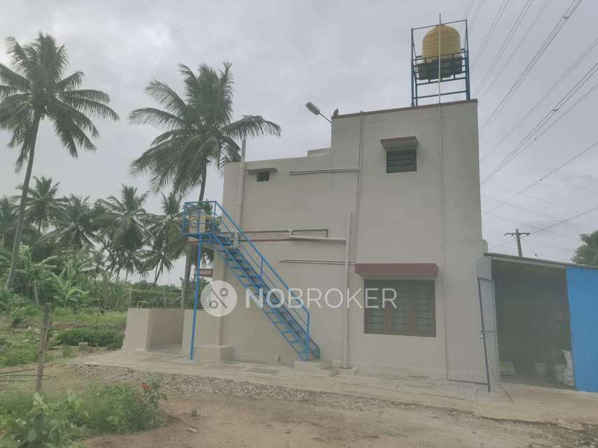 1 BHK House for Rent  In Rajankunte