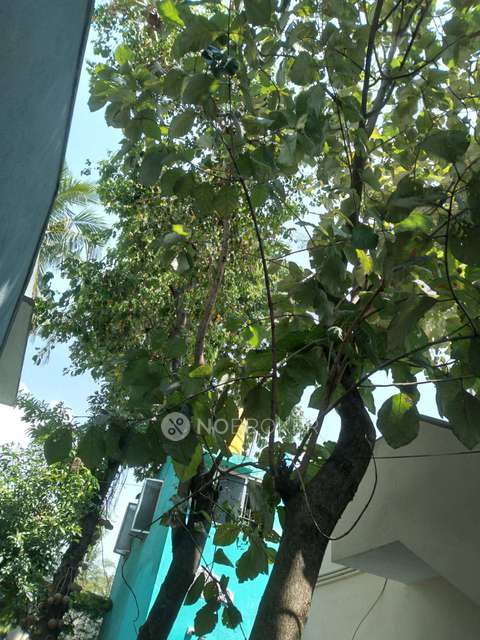 4+ BHK House For Sale  In Madhavaram