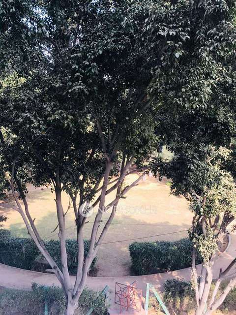 3 BHK Flat In Standalone Building   For Sale  In Sector 54