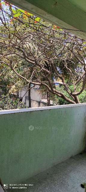 2 BHK Flat In Rohan Heights for Rent  In Pimpri-chinchwad