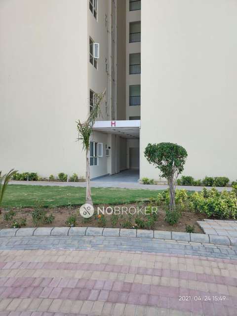 3 BHK Flat In Gls Avenue 51 For Sale  In Sector-92