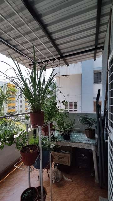 1 BHK Flat In Kute Fortune For Sale  In Mamurdi