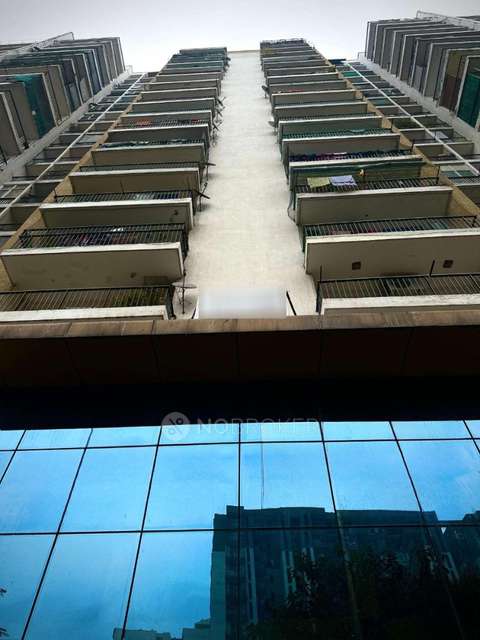 PG for Boys in Crossings Republik