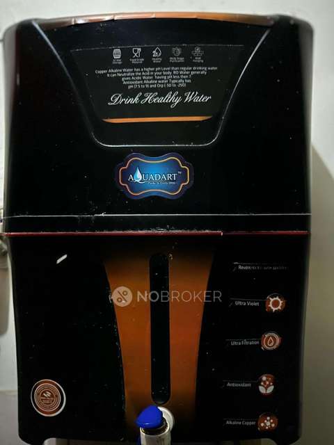 PG for Boys in Crossings Republik