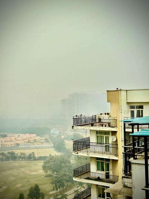 PG for Boys in Crossings Republik