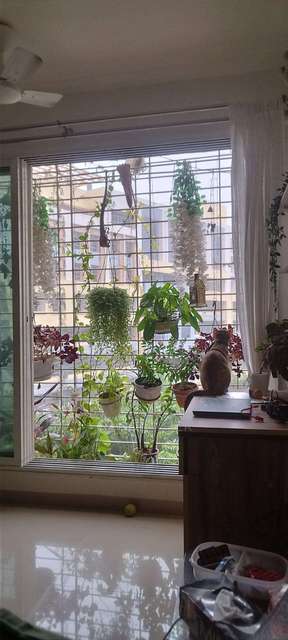 1 BHK Flat In Dreams Complex For Sale  In Dreams Complex