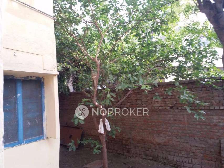 2 BHK Flat In Arun Vihar, Sector 37 For Sale  In Arun Vihar