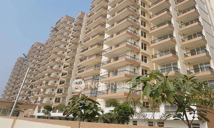 2 BHK Flat In Hcbs Sports Ville Appartment for Rent  In Mohammadpur Gujar