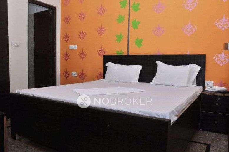 PG for Boys in Sector 49