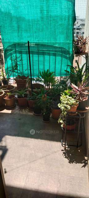 2 BHK Flat In Sterling Blooms Socity for Rent  In 45173, Kalewadi - Rahatani Rd, Rahatani Gaon, Kalewadi, Pimpri-chinchwad, Maharashtra 411017, India