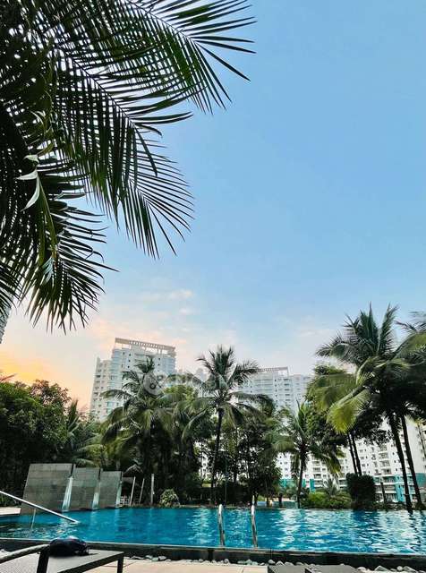 3 BHK Flat for Rent  In Hinjewadi