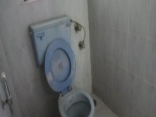 2 BHK Flat In Ascent Residency, Andheri East For Sale  In Andheri East