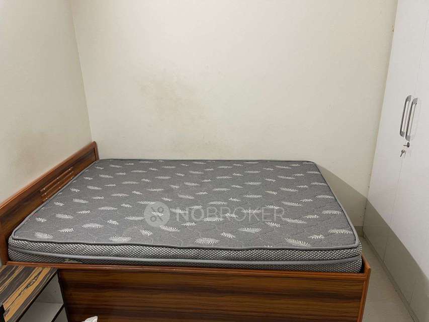 PG for Girls in Pareena Micasa