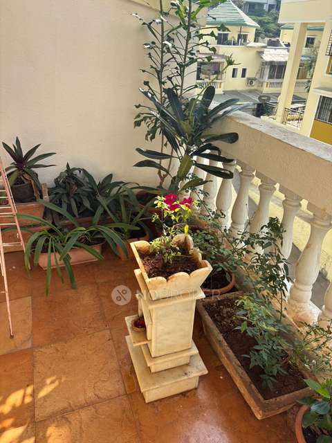 3 BHK Flat In Siddhivinayak Ginger for Rent In Pimple Saudagar