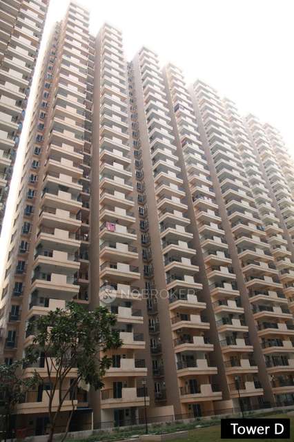 3 BHK Flat In 14 Avenue 3d Block for Rent  In Gaur City 2