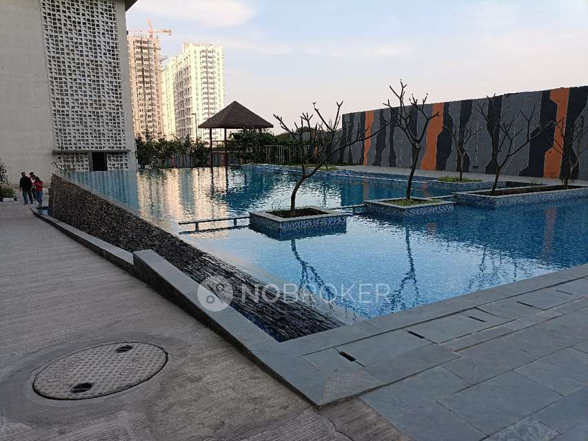 2 BHK Flat In Godrej Hillside 1 for Rent  In Mahalunge