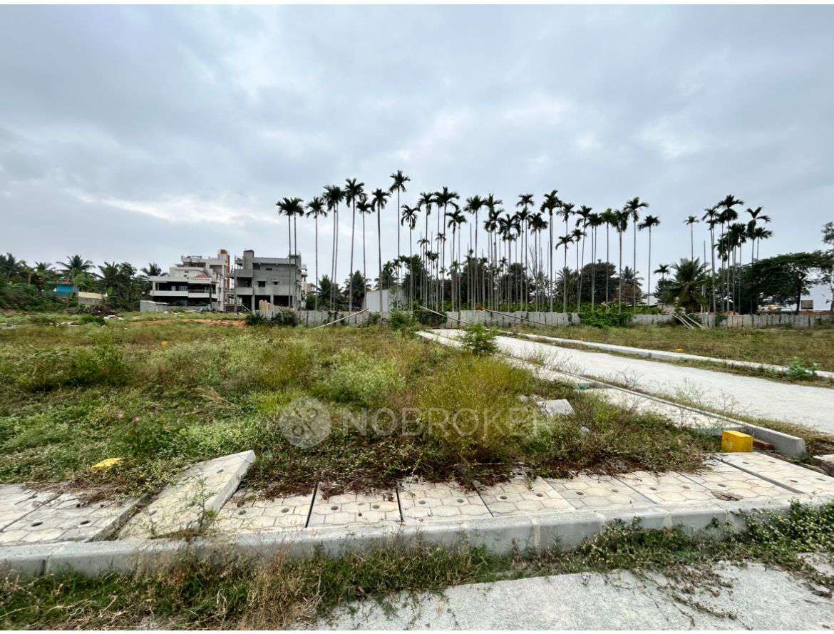 Plot For Sale  In Madanayakahalli