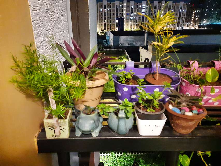 2 BHK Flat In Oxygen By Urban Tree, Perumbakkam For Sale  In Perumbakkam