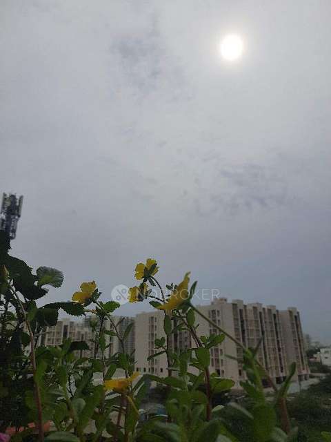 2 BHK Flat In Oxygen By Urban Tree, Perumbakkam For Sale  In Perumbakkam