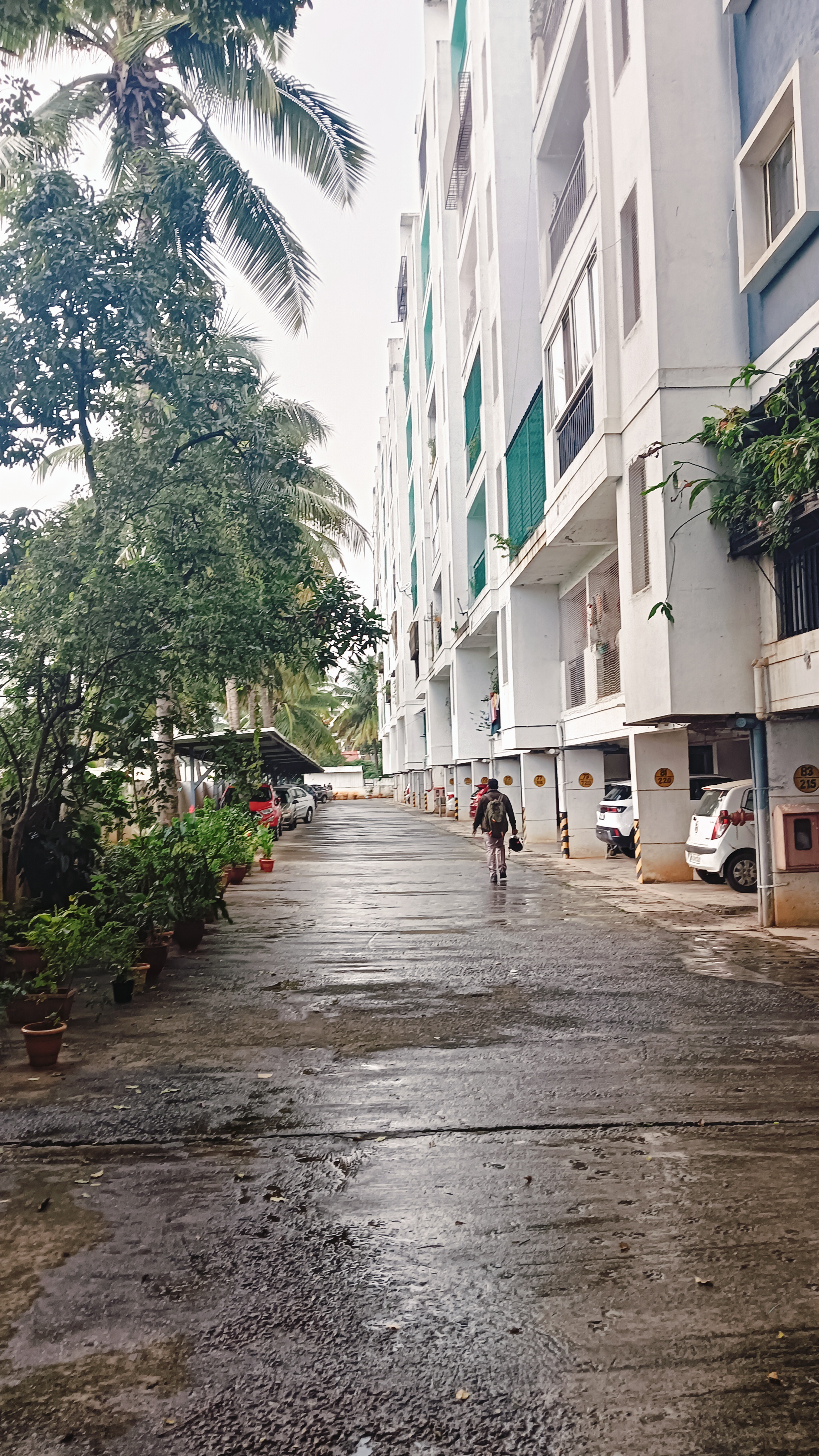 Radiant Jasmine Terrace