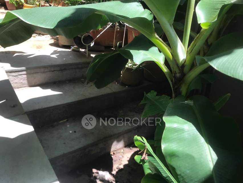 3 BHK Flat In Shubham Appartment For Sale  In Vadgaon Budruk