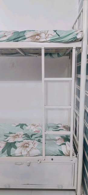 PG for Boys in Bandra West