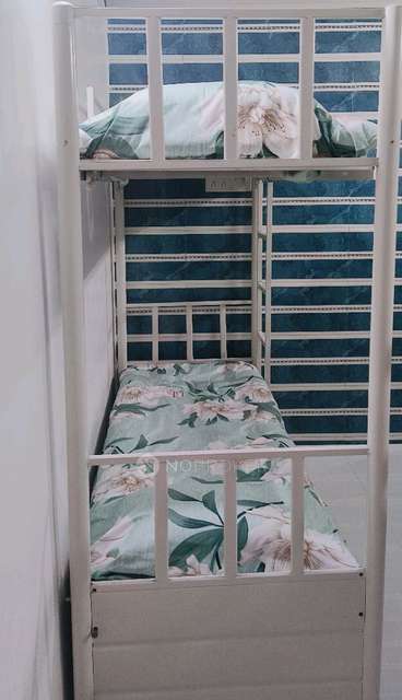 PG for Boys in Bandra West