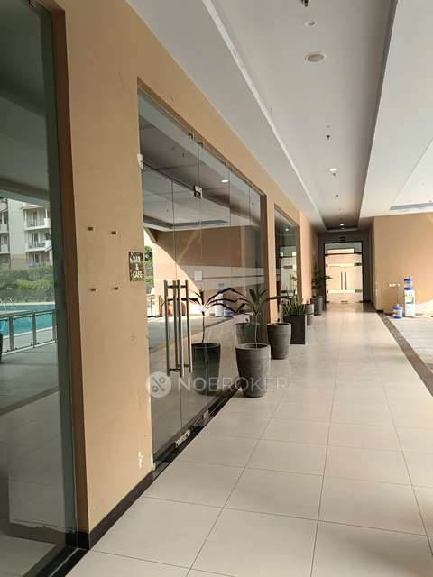 3 BHK Flat In Emaar Palm Premier For Sale  In Emaar Palm Hills Palm Premier Tower-a, Sector 77, Gurugram, Haryana 122004, India