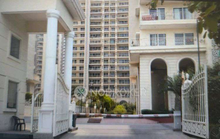 3 BHK Flat In Mahagun Mirabella for Rent  In Sector-79