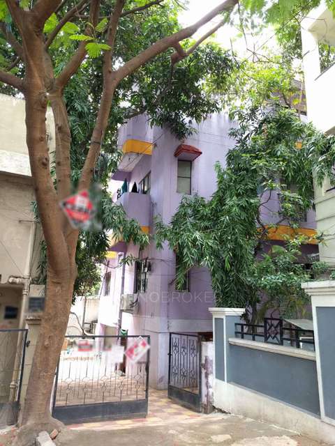 4+ BHK Flat In Ashish Apartment  For Sale  In  Srinagar Colony 