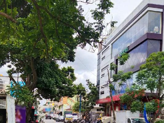 PG for Girls in Basavanagudi