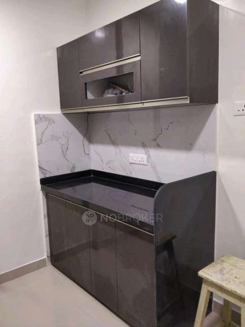 1 BHK Flat In Samarthangan Society for Rent  In Shivane