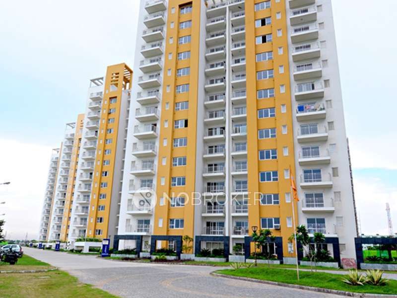3 BHK Flat In Park Grandeura for Rent  In Park Grandeura Sector 82