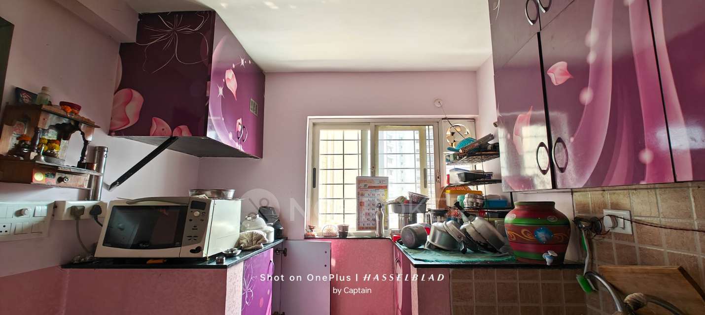 2 BHK Flat In Ba Vermont Phase Ii for Rent  In Wagholi