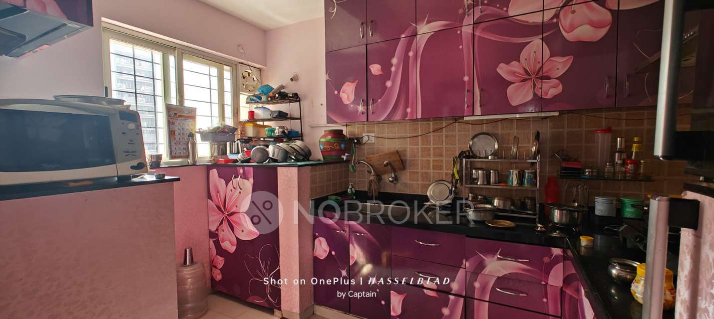 2 BHK Flat In Ba Vermont Phase Ii for Rent  In Wagholi