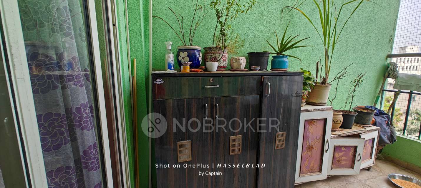 2 BHK Flat In Ba Vermont Phase Ii for Rent  In Wagholi