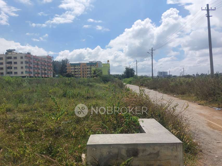 Plot For Sale  In Ctr Royal Park