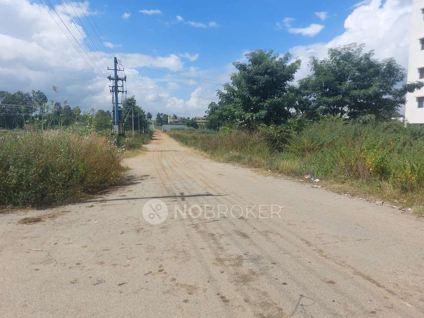 Plot For Sale  In Ctr Royal Park