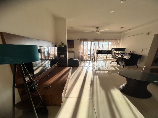 2 BHK Flat In Sobha Dream Gardens for Rent  In Bellahalli